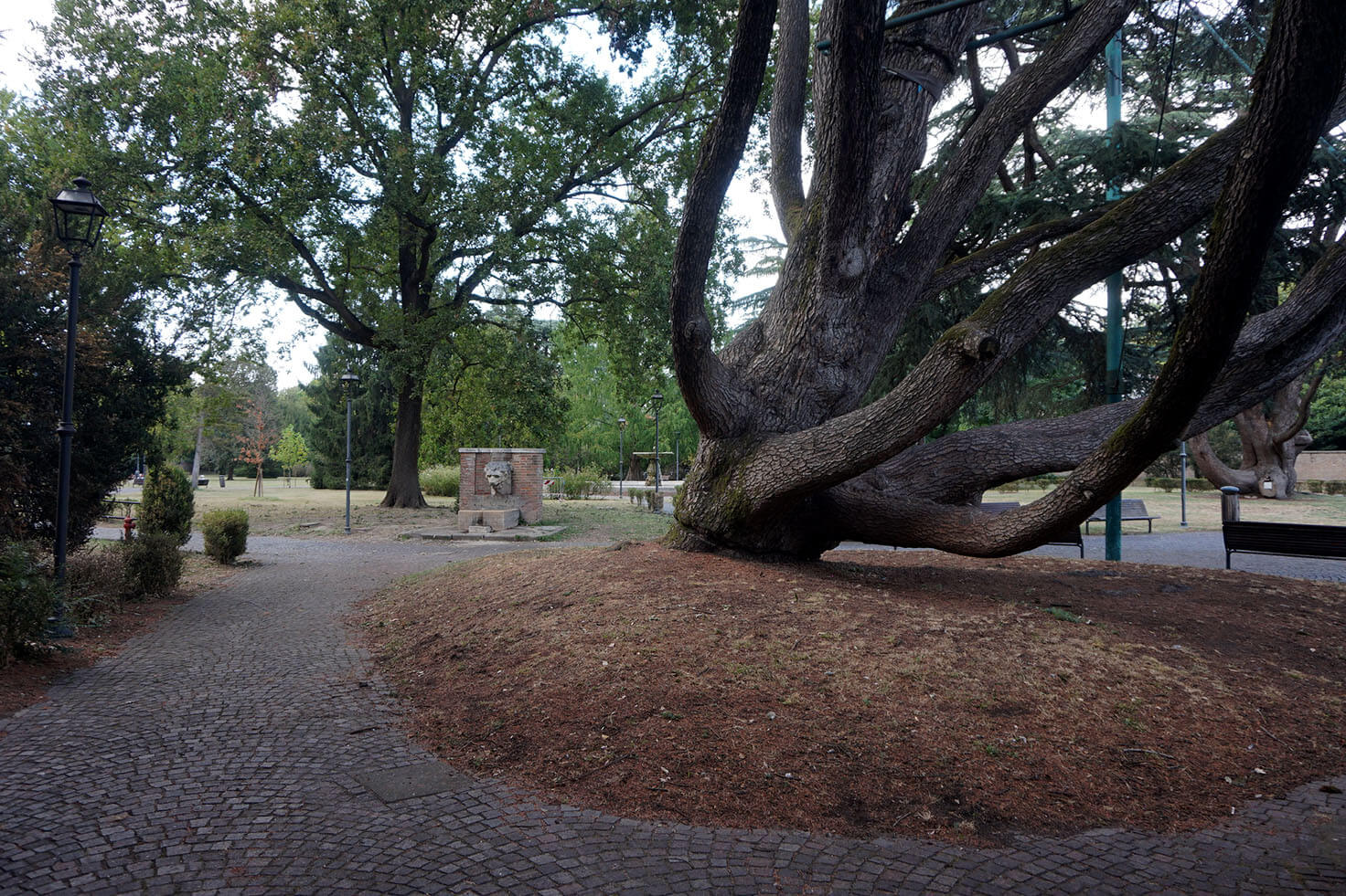 Massari Park