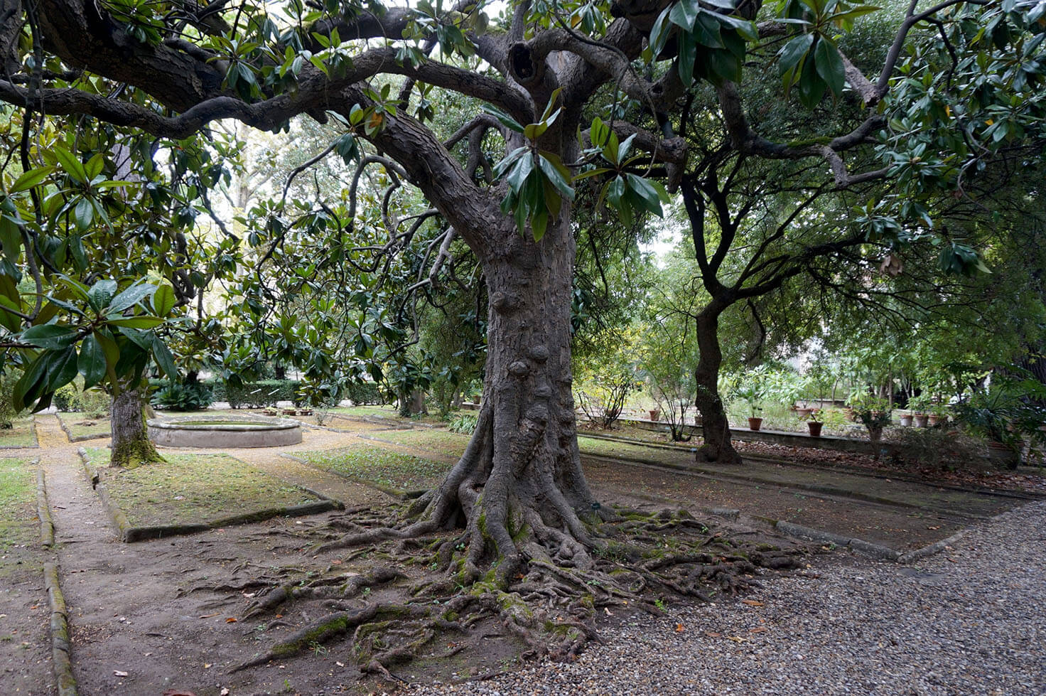 Botanical Garden of Pisa